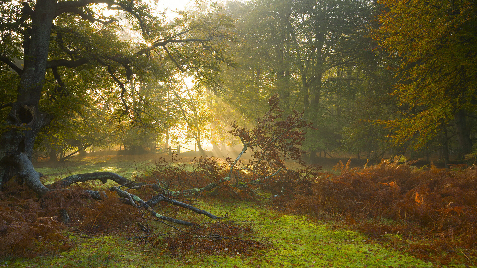 《青训营火热:培养电竞未来冠军》,电竞青训训练营