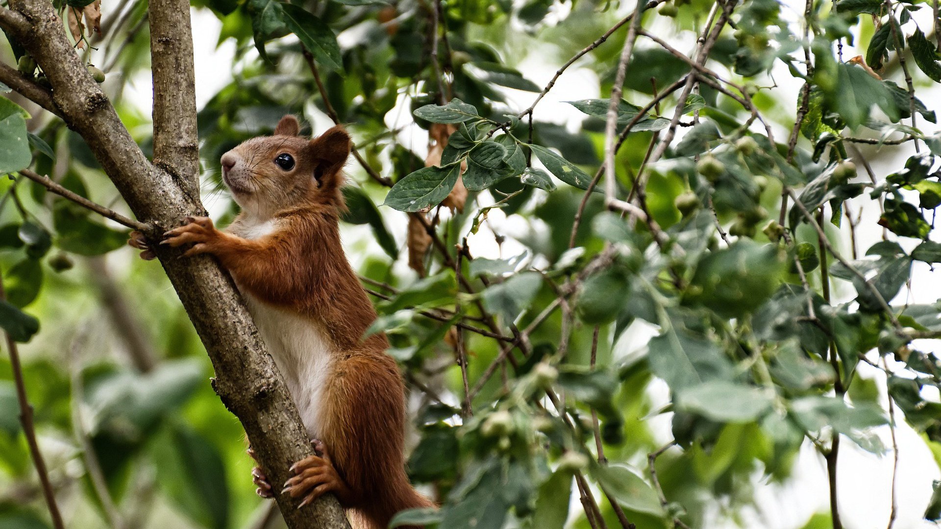 开云网站-传统武术套路大赛，展现国家文化魅力，传统武术套路竞赛规则2012