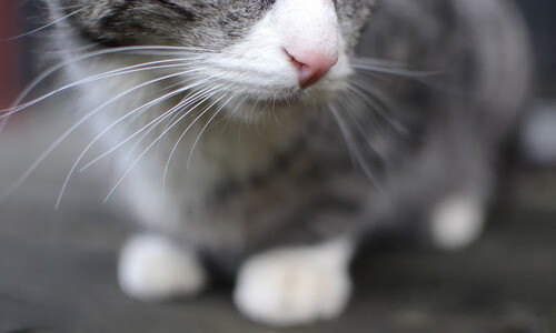 日本男足奥运赛场再创历史,日本男足奥运会名单