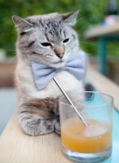 最全欧冠“最佳助攻”盘点:绝妙的配合与精准传球,欧冠进球助攻榜