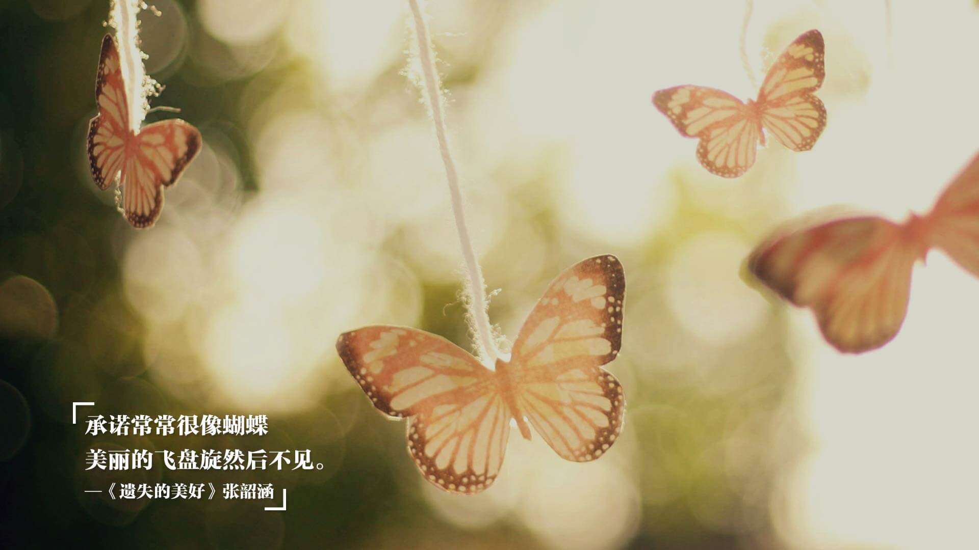 开云·Kaiyun网页版-足球女裁判比例增长带动执法多元发展，足球女裁判视频