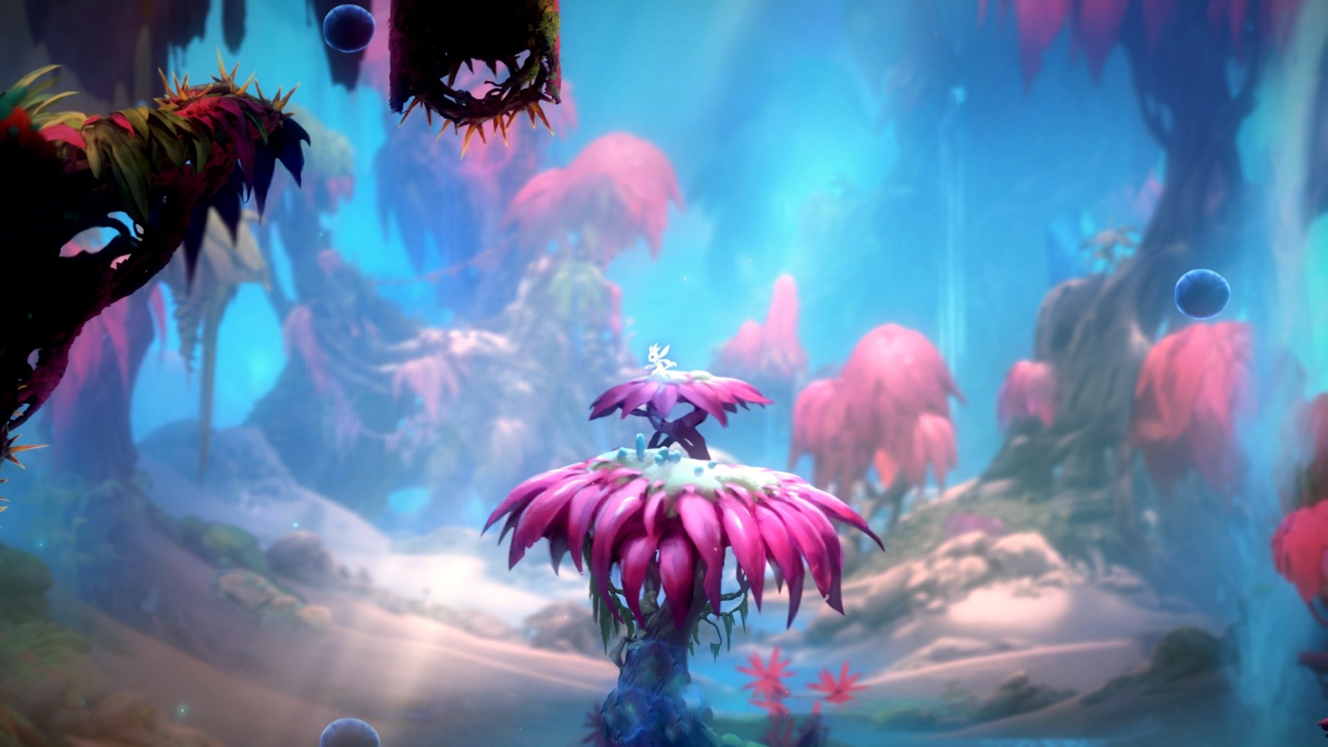 kaiyun.com-中国乒协公布奥运阵容，马龙孙颖莎携手征战巴黎，乒乓球奥运冠军马龙