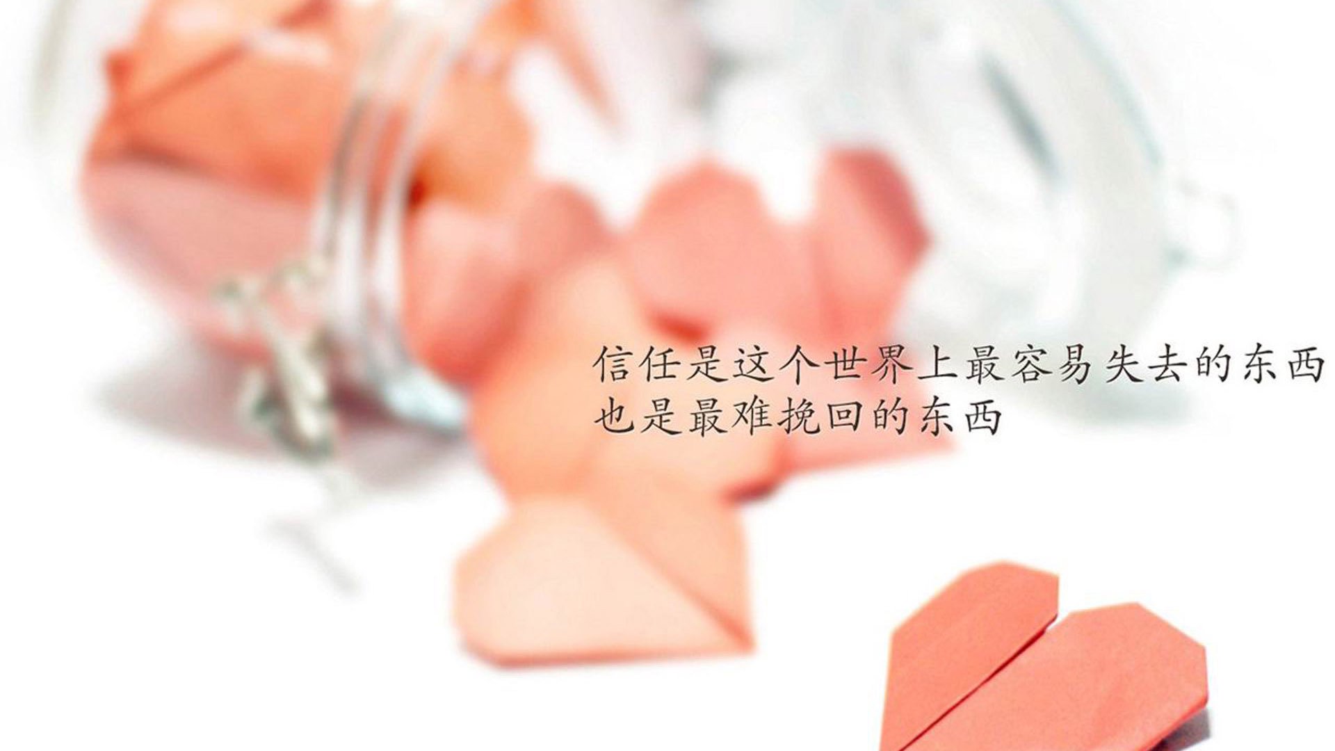 女足世界杯中国队备战动态,女足世界杯2021中国队