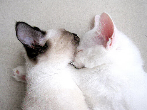 杜兰特是否还能打出巅峰水准,杜兰特赢了吗