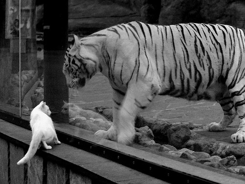 欧洲豪门联赛战绩变数大,米兰双雄前途未卜,豪门欧洲杯