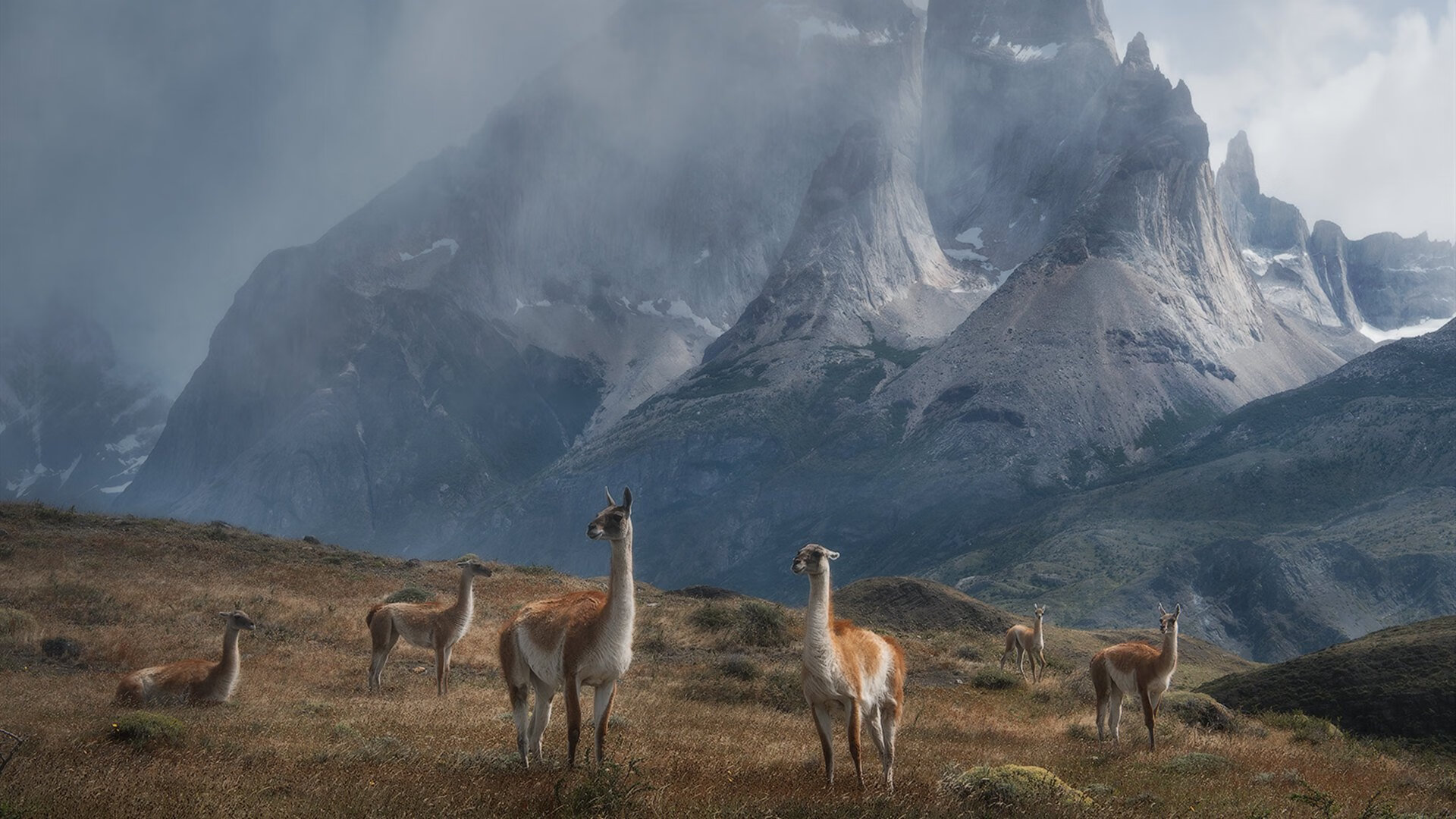 火爆足球场上的对决,紧张刺激之余还有谁能胜出?,足球场上的冲突视频