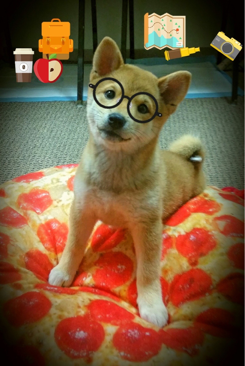 瓦伦西亚突破困局,反弹势头强劲,瓦伦西亚贴吧