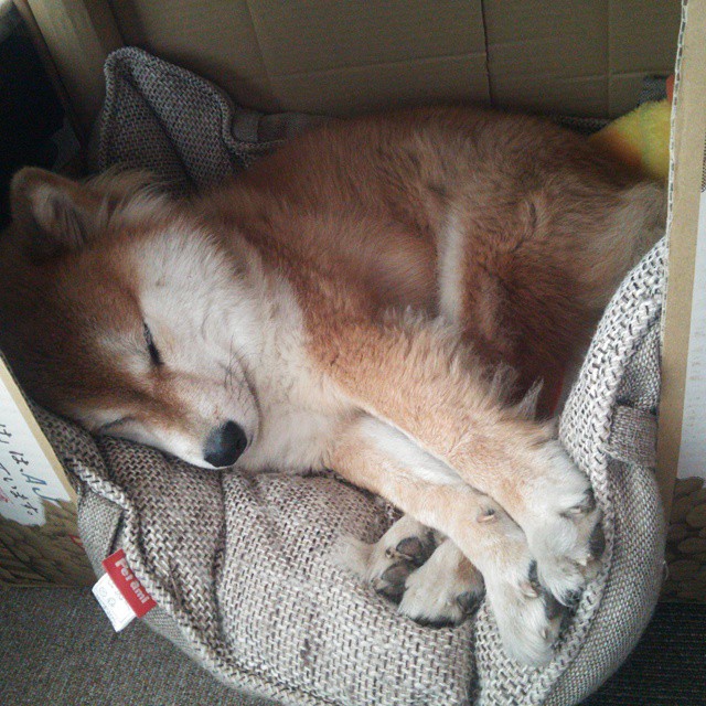 开云官网-电竞游戏内社交系统设计对玩家粘性的促进作用分析，电竞发展与社交问题