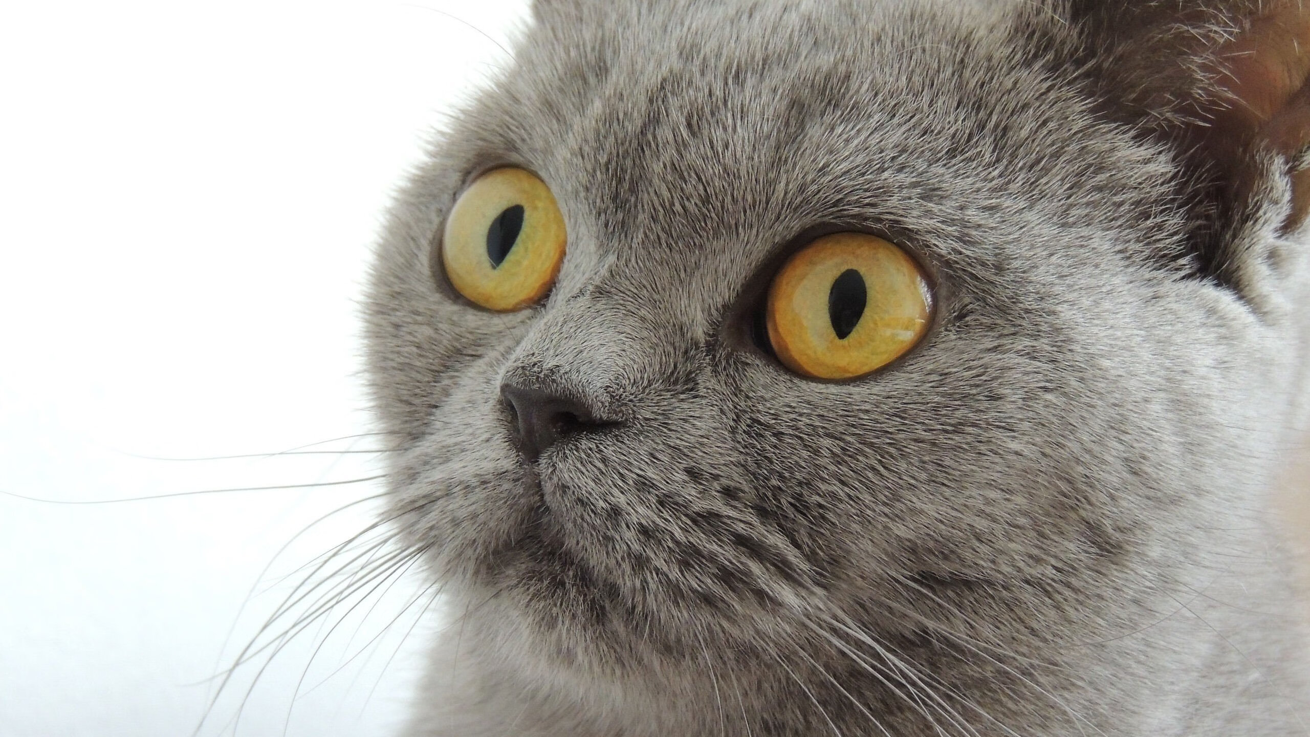 开云中国-联盟是否应加强球员环保意识培训，联盟是否应加强球员环保意识培训