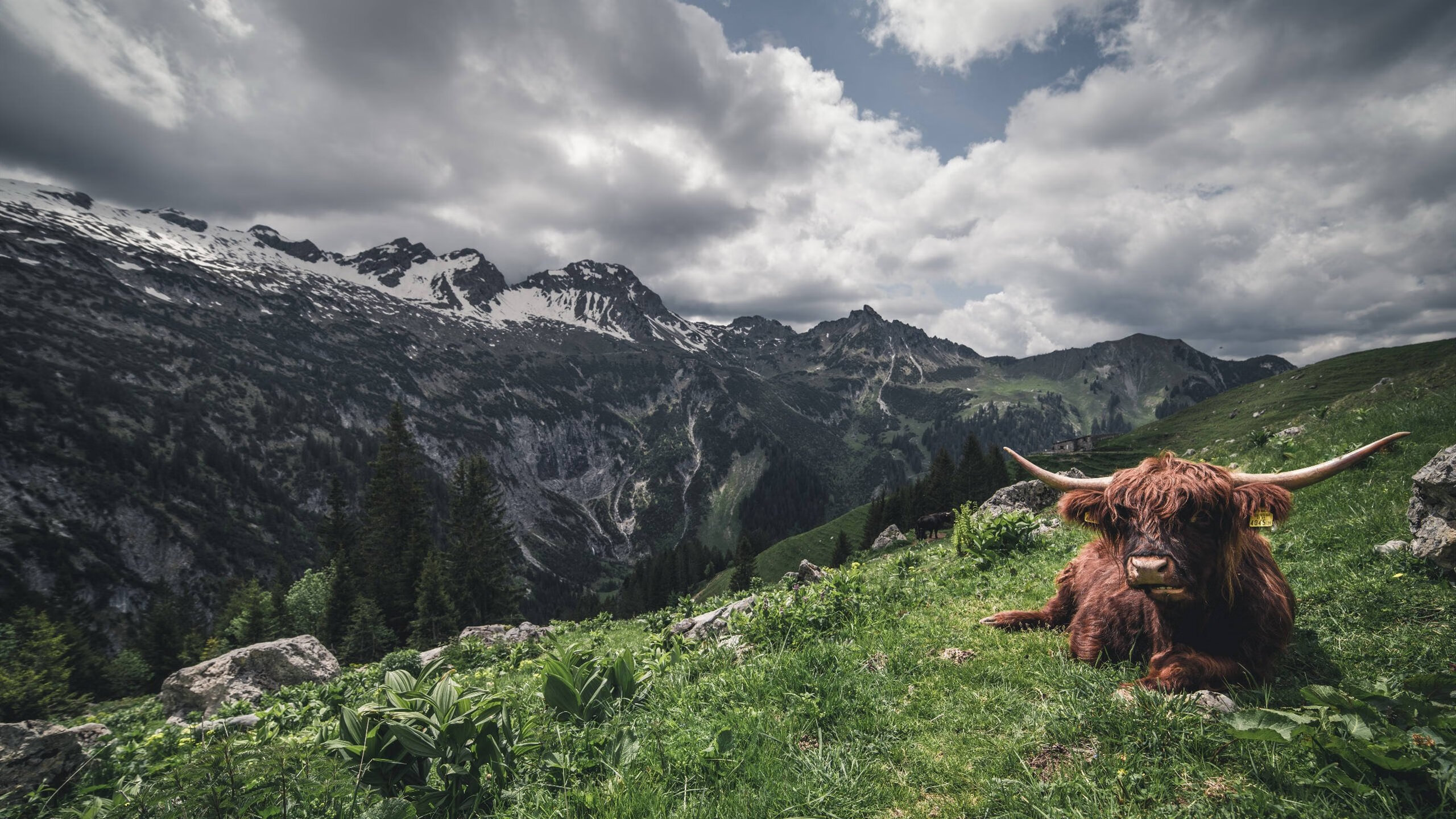 NBA球队文化建设实践,nba篮球文化