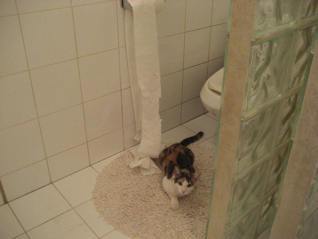 世界青少年羽毛球锦标赛中国队再获佳绩,国际羽联举办世界青少年羽毛球锦标赛