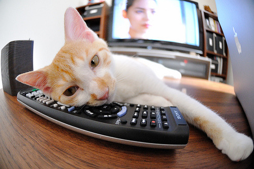 中国篮球职业联赛俱乐部品牌推广与商业合作模式,篮球俱乐部赛事