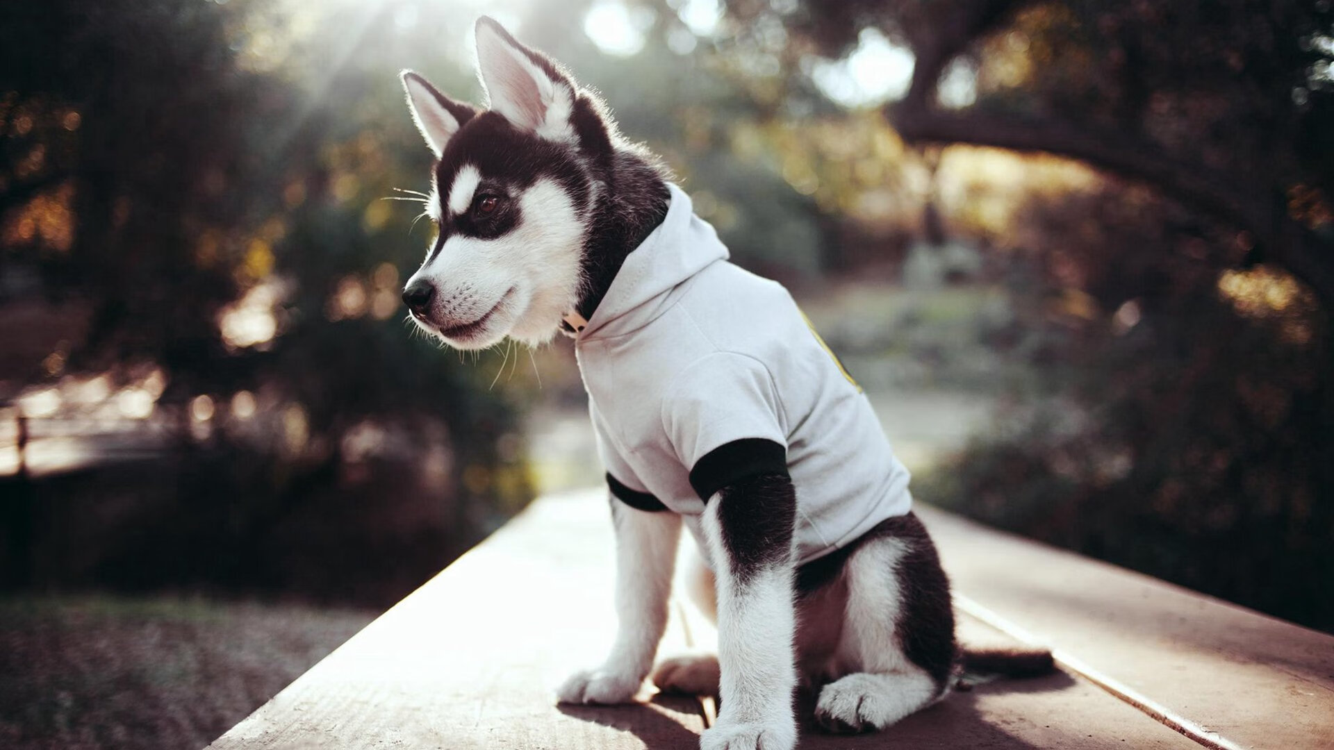 开云kaiyun-体育课教学任务管理系统优化设计建议，体育课程管理举措有哪些