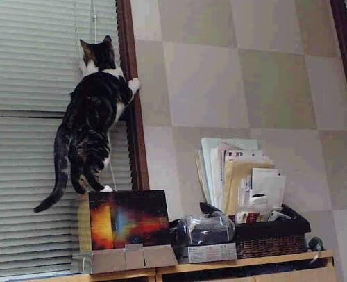 体育课教学任务管理系统优化设计建议,体育课程管理举措有哪些