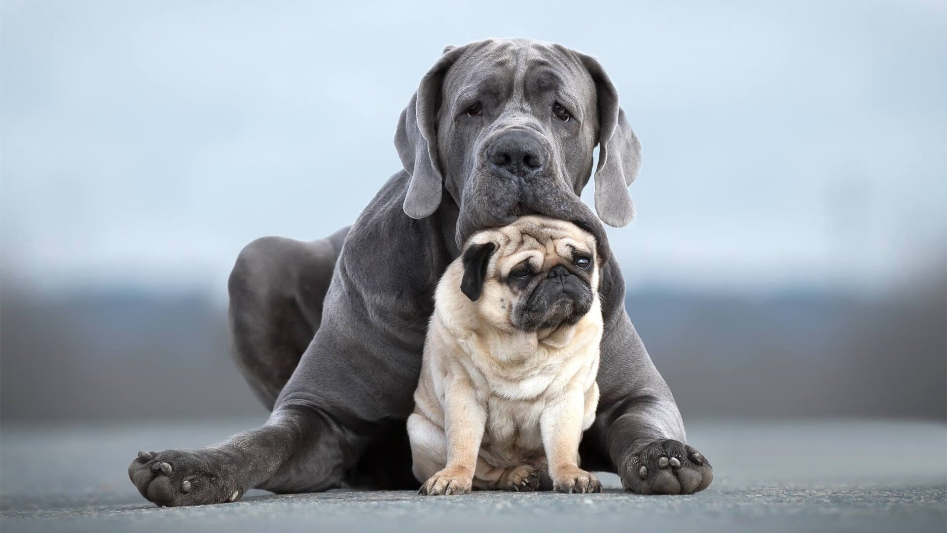 青少年体育培训标准制定,青少年体育技能培训