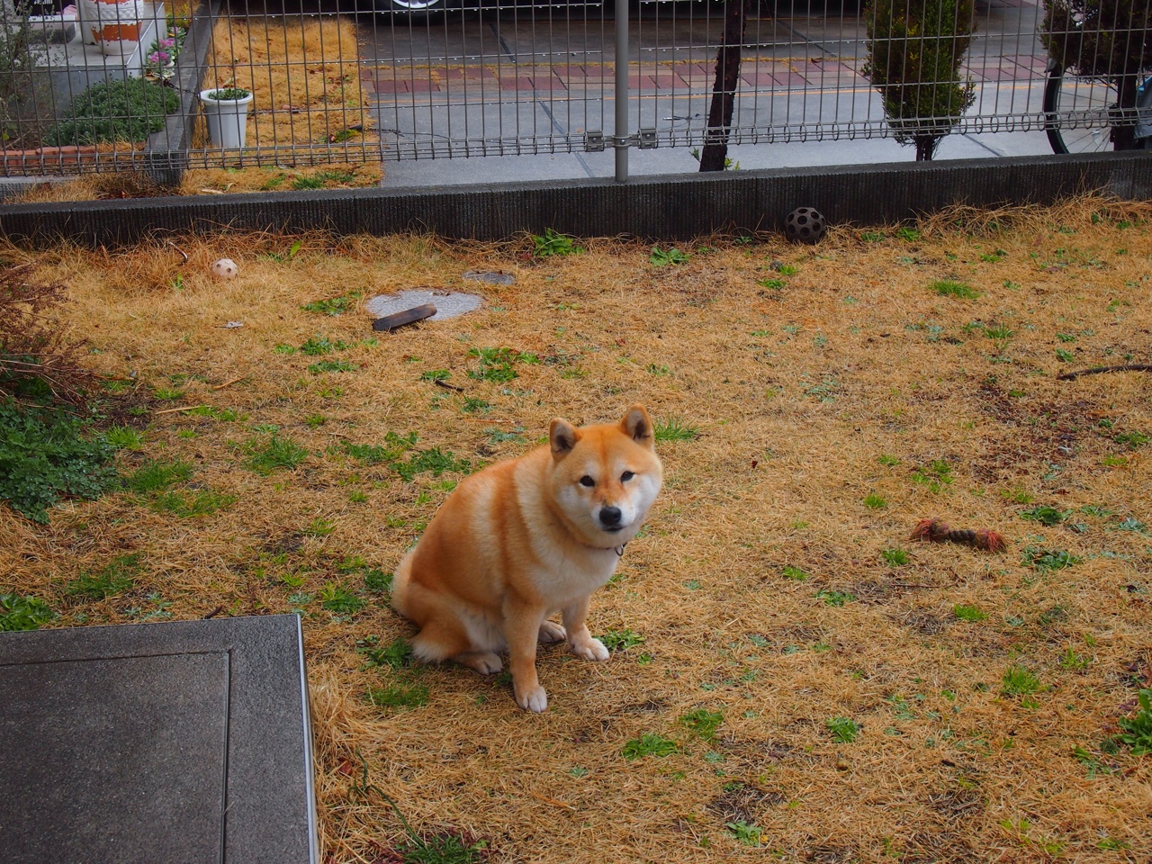 电竞主题馆在多地开放吸引年轻人打卡体验,电竞主题展馆