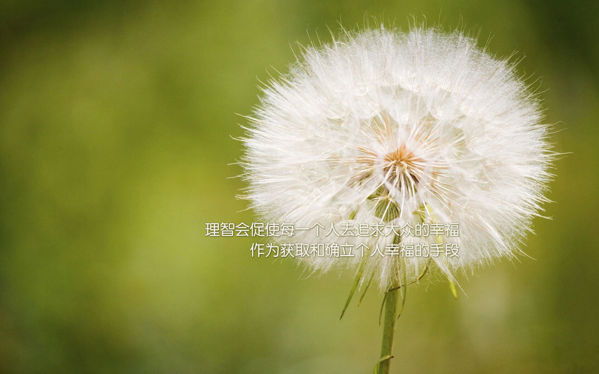 高压控球将继续主导世界强队风格,高压球的技术要点