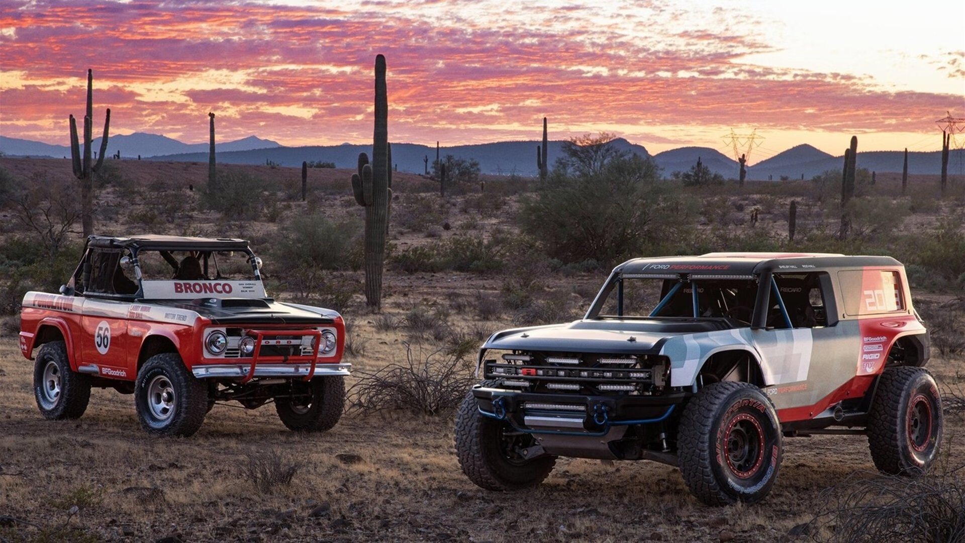开云中国大陆-科特迪瓦男篮在非洲锦标赛中表现出色，期待奥运之旅，科特迪瓦举办非洲杯