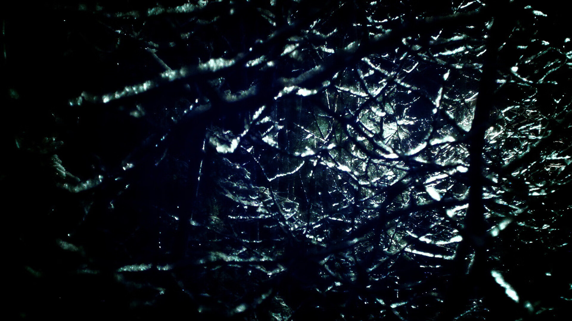 麦克沃伊带伤出战依旧夺牌,麦克埃沃伊